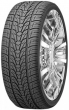 295/35-24 Nexen Roadian HP 110V XL