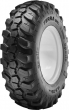19,5L-24 APOLLO Terra BHL 12PR TL (���� ����)